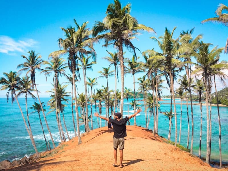 Traveller among the palm trees of Coconut Tree Hill, Mirissa
